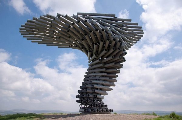 Amazing Singing Tree in England 1 Amazing Singing Tree in England 1