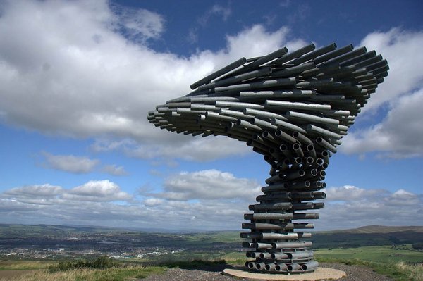 Amazing Singing Tree in England 2 Amazing Singing Tree in England 2
