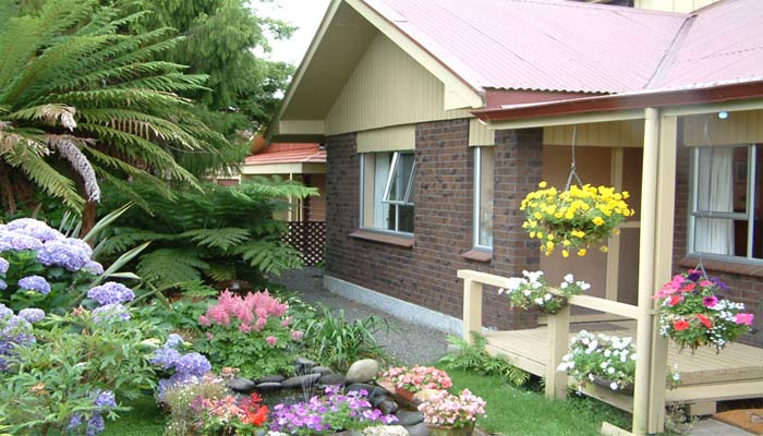 Home Gardening Beginner Tips